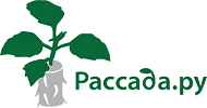 Рассада.ру