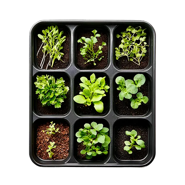 Битрикс24 для поставщика цветочной рассады 